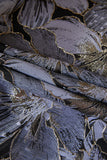Gris Jacquard Châle Revers Costumes 2 Pièces Hommes