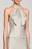 Robe Court Gris Satin Trapèze Licou