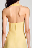 Robe Longue Jaune Satin Fourreau Licou