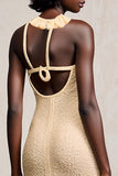 Robe Longue Abricot Fourreau Licou