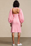 Robe Court Rose Satin Trapèze Licou