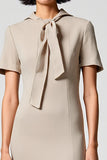 Robe Longue Gris Satin Fourreau Avec Col