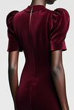 Robe Longue Rouge Foncé Velours Fourreau Ras De Cou