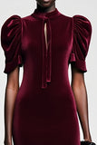 Robe Longue Rouge Foncé Velours Fourreau Ras De Cou