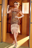 Robe Rose Sequin Gatsby 1920s Flapper