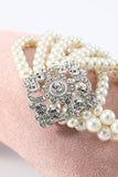 Ensemble d’accessoires Great Gatsby des années 1920