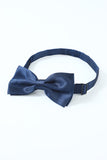 Ensemble d’accessoires bleu des années 20 pour hommes